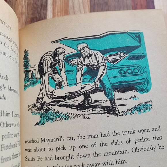The Forest Fire Mystery by Troy Nesbit / 1962 / Vintage Children's Book - Picture 5 of 8